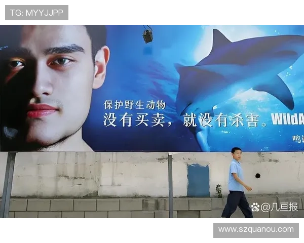 姚明4000万背后的故事与篮球巨星的财富之路解析 姚明4000万背后的故事与篮球巨星的财富之路解析