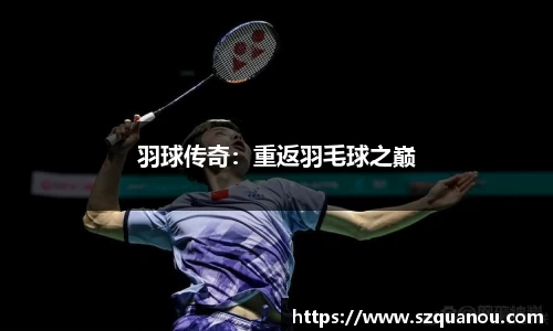 羽球传奇：重返羽毛球之巅